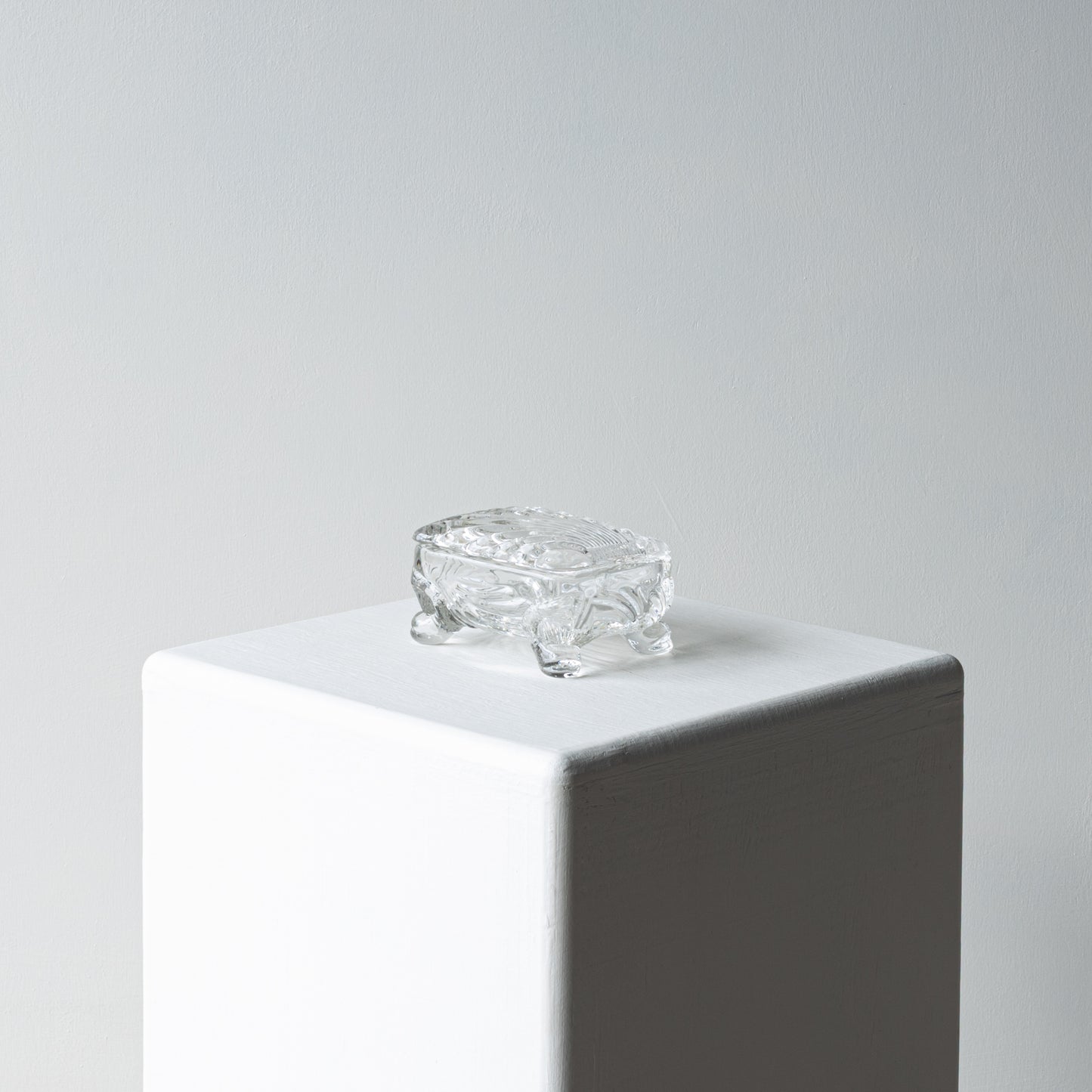 Glass Shell Box
