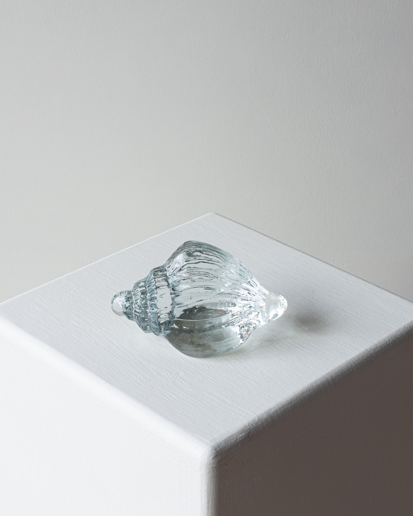 Glass Shell