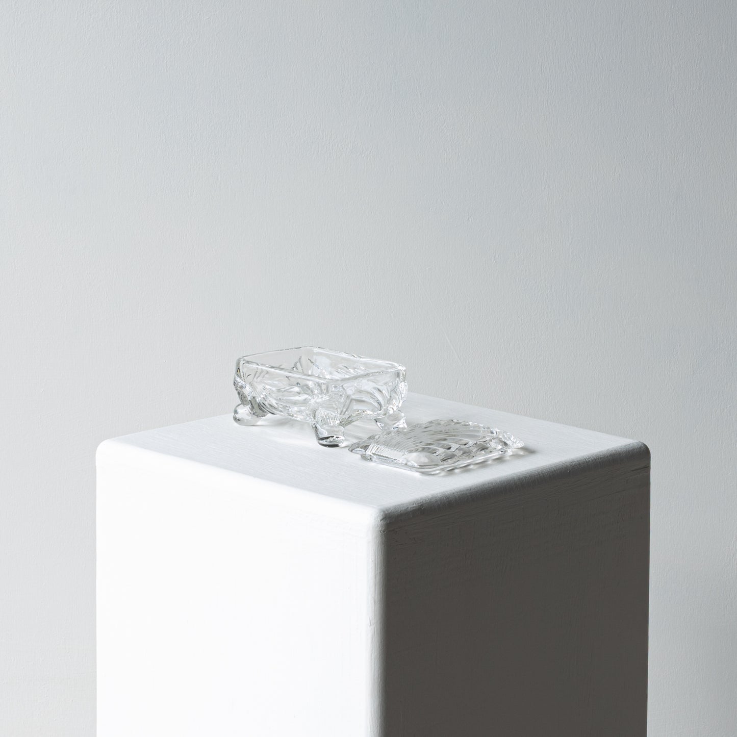Glass Shell Box